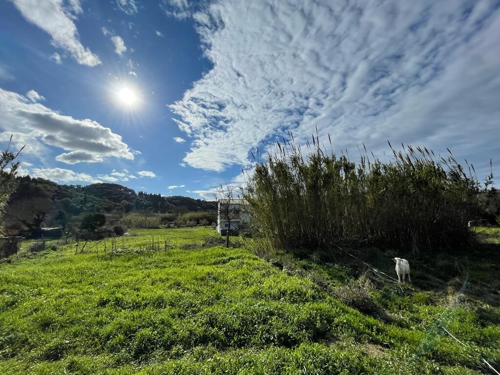 Land in Corfu, Corfu Prefecture, Greece – 52116