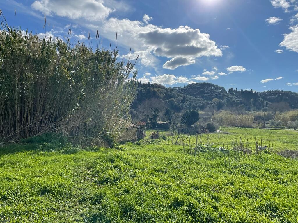 Land in Corfu, Corfu Prefecture, Greece – 52116