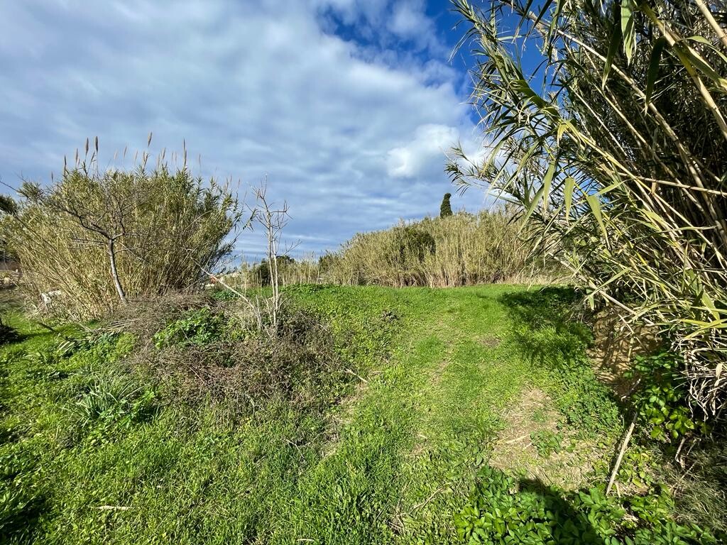 Land in Corfu, Corfu Prefecture, Greece – 52116