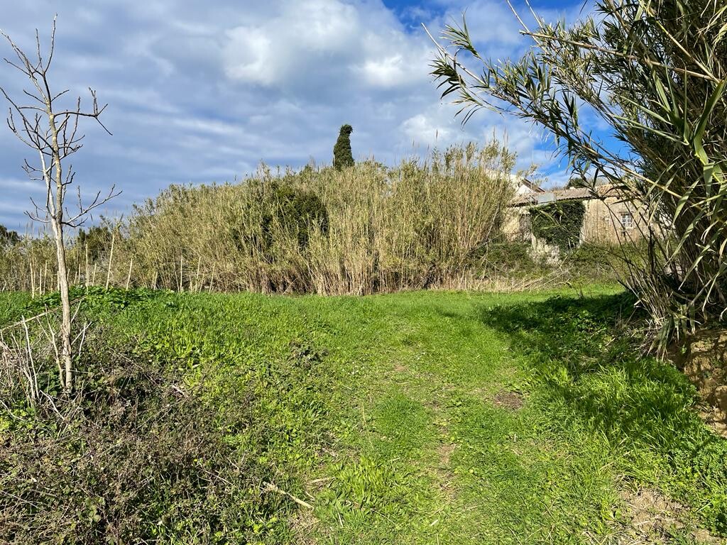 Land in Corfu, Corfu Prefecture, Greece – 52116