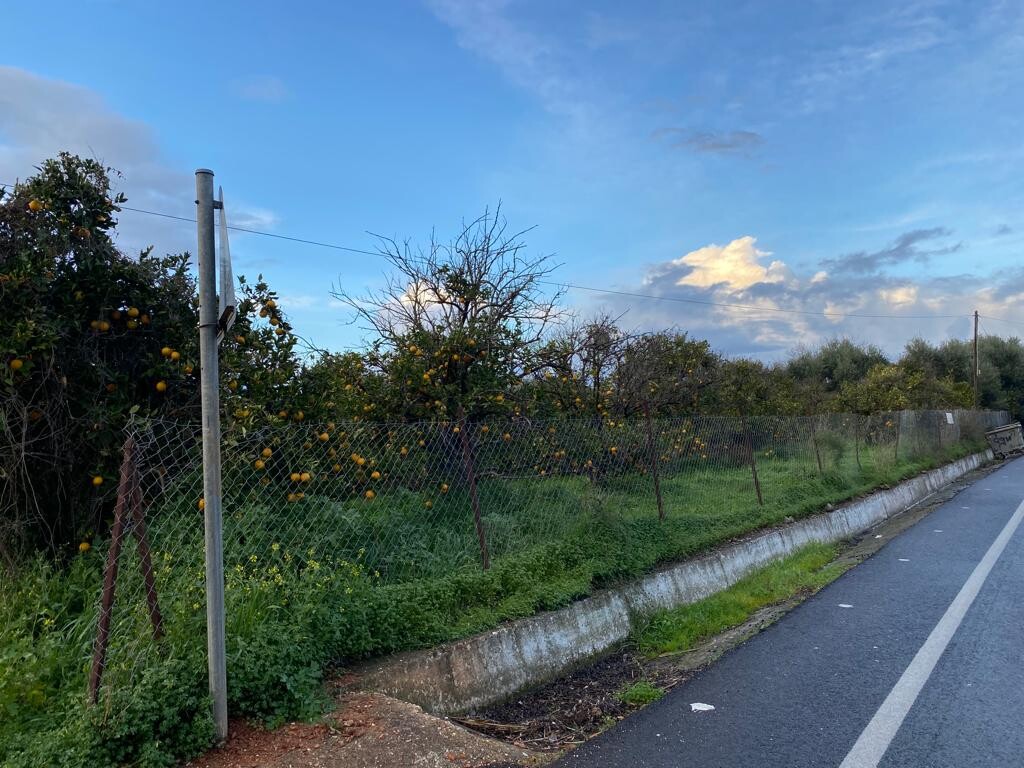 Land in Therisos, Chania Prefecture, Greece – 52112
