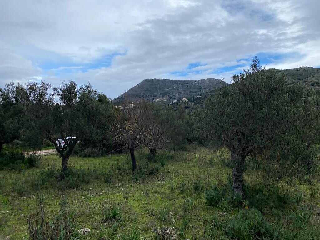 Land in Vamos, Chania Prefecture, Greece – 52111