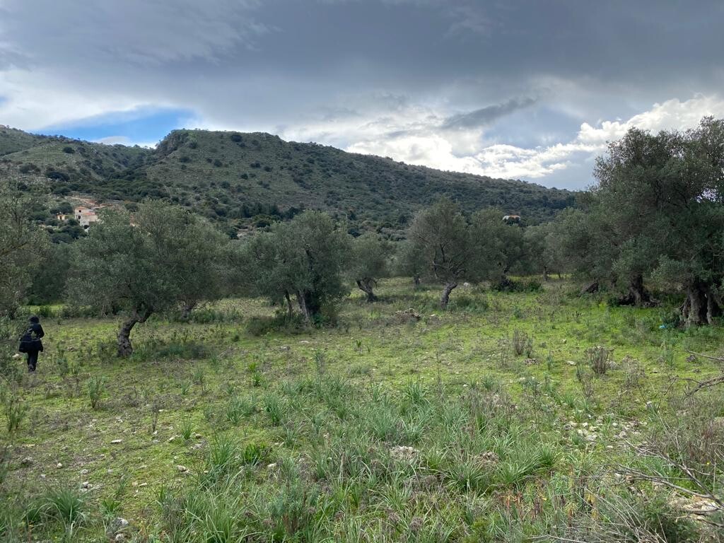 Land in Vamos, Chania Prefecture, Greece – 52111