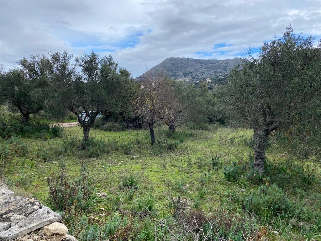 Land in Vamos, Chania Prefecture, Greece – 52111