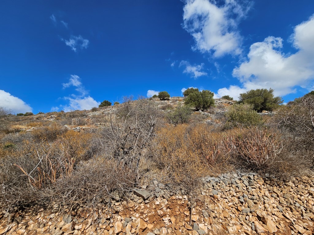Land in Agios Nikolaos, Lasithi Prefecture, Greece – 52109