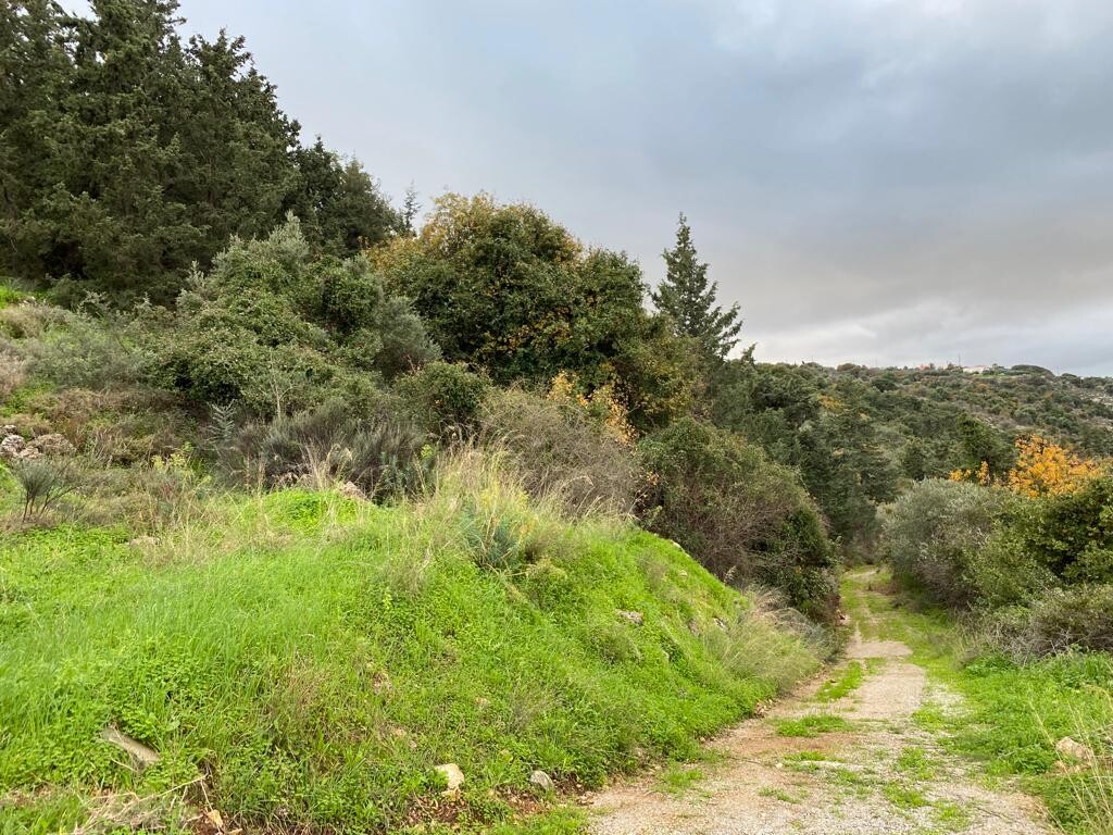 Land in Vamos, Chania Prefecture, Greece – 52085