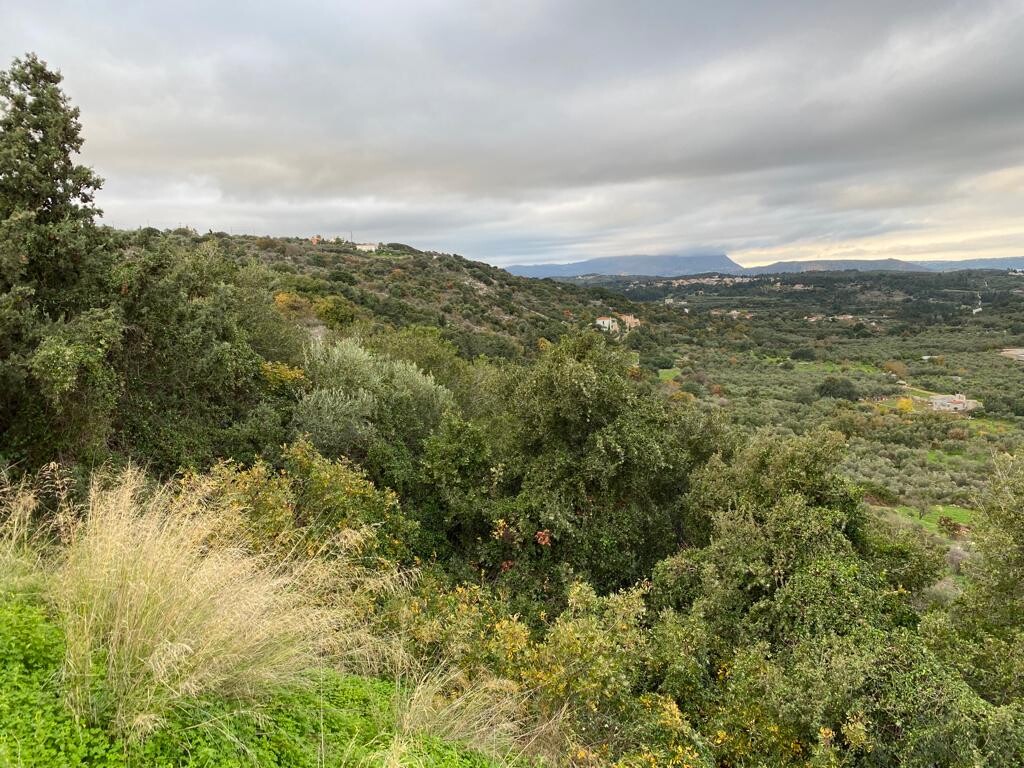 Land in Vamos, Chania Prefecture, Greece – 52085