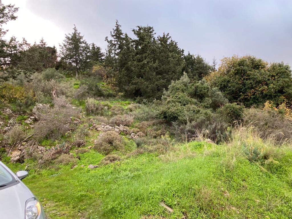 Land in Vamos, Chania Prefecture, Greece – 52085