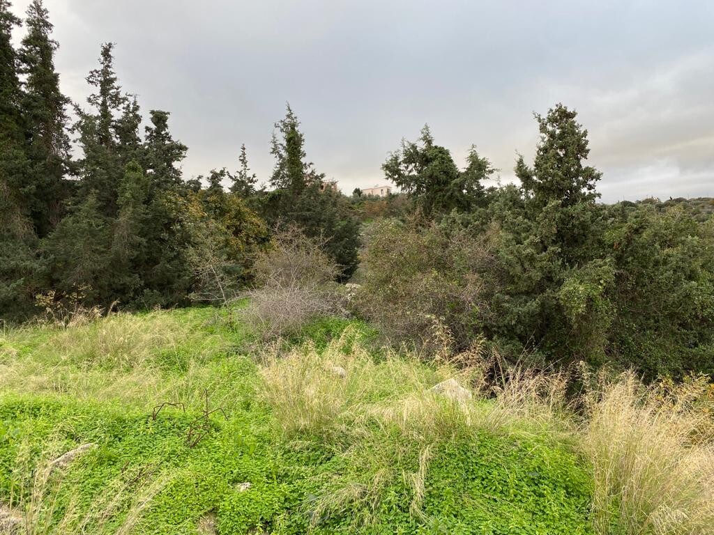 Land in Vamos, Chania Prefecture, Greece – 52085