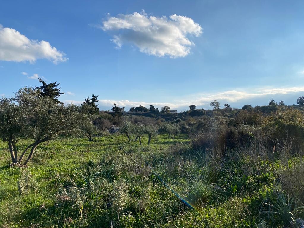Land in Vamos, Chania Prefecture, Greece – 52064