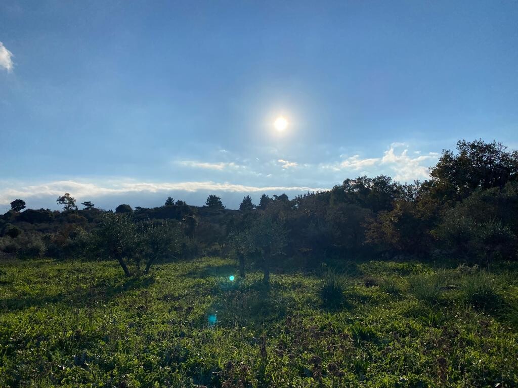 Land in Vamos, Chania Prefecture, Greece – 52064