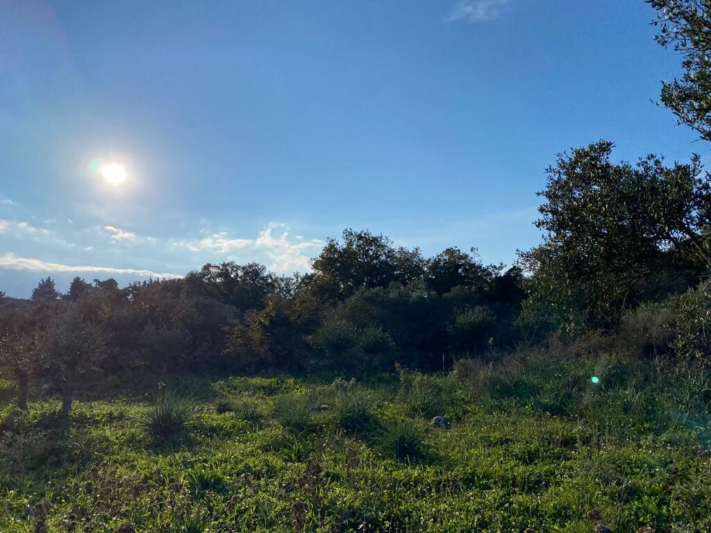 Land in Vamos, Chania Prefecture, Greece – 52064