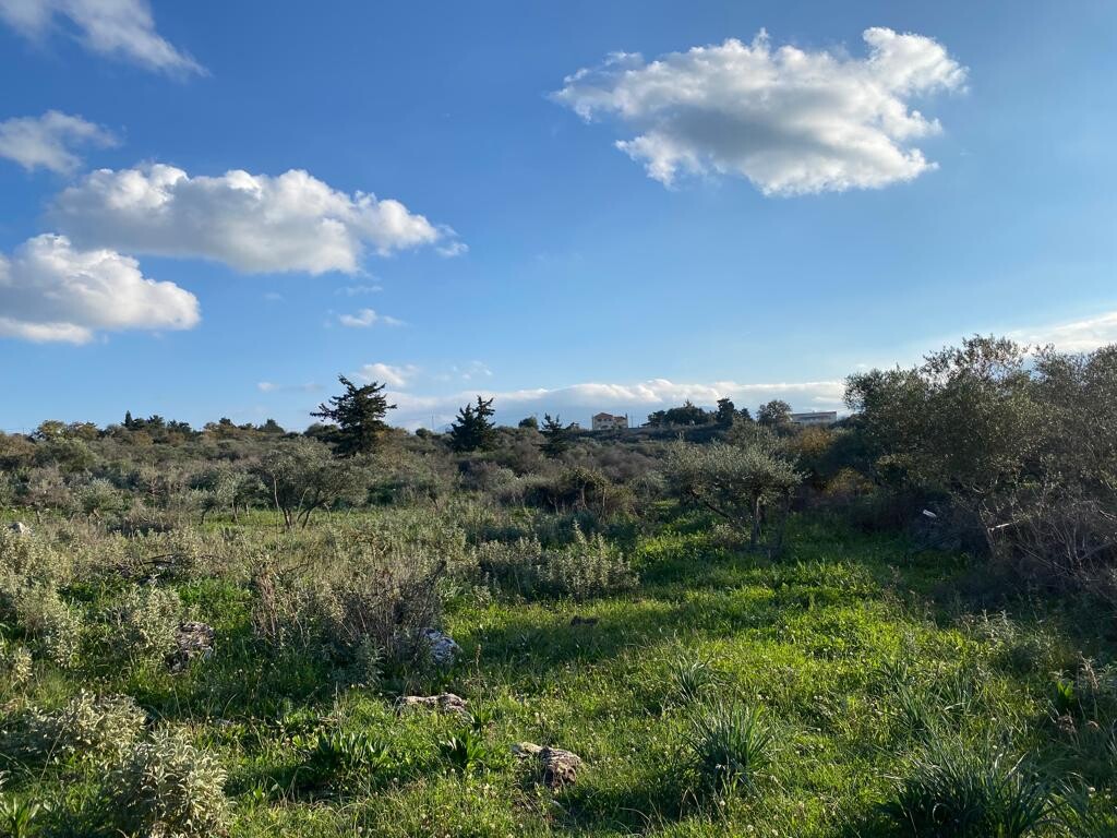 Land in Vamos, Chania Prefecture, Greece – 52064