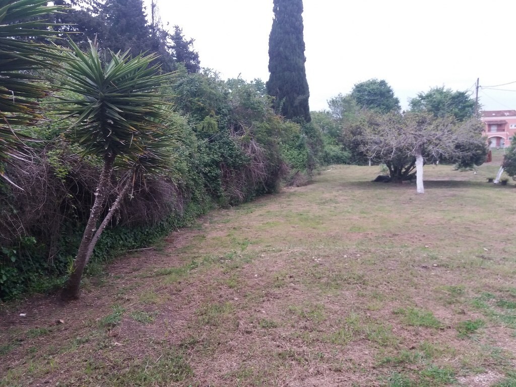Land in Corfu, Corfu Prefecture, Greece – 51910