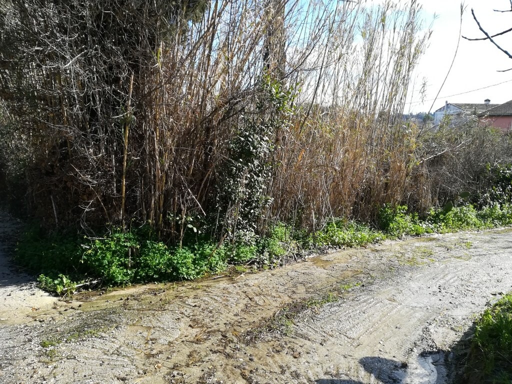 Land in Corfu, Corfu Prefecture, Greece – 51910