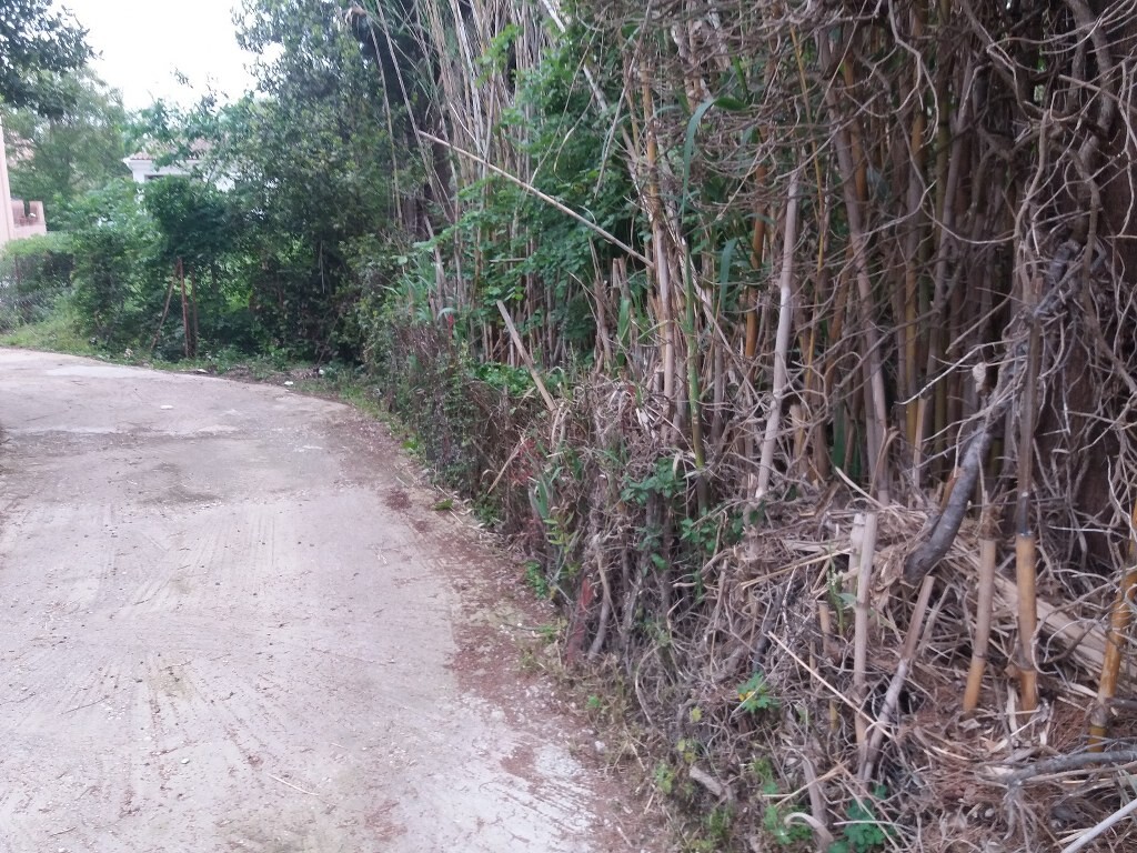Land in Corfu, Corfu Prefecture, Greece – 51910