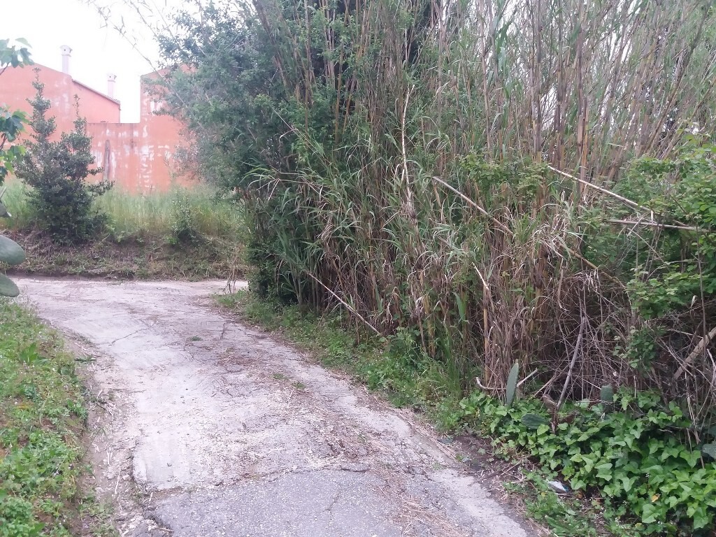 Land in Corfu, Corfu Prefecture, Greece – 51910