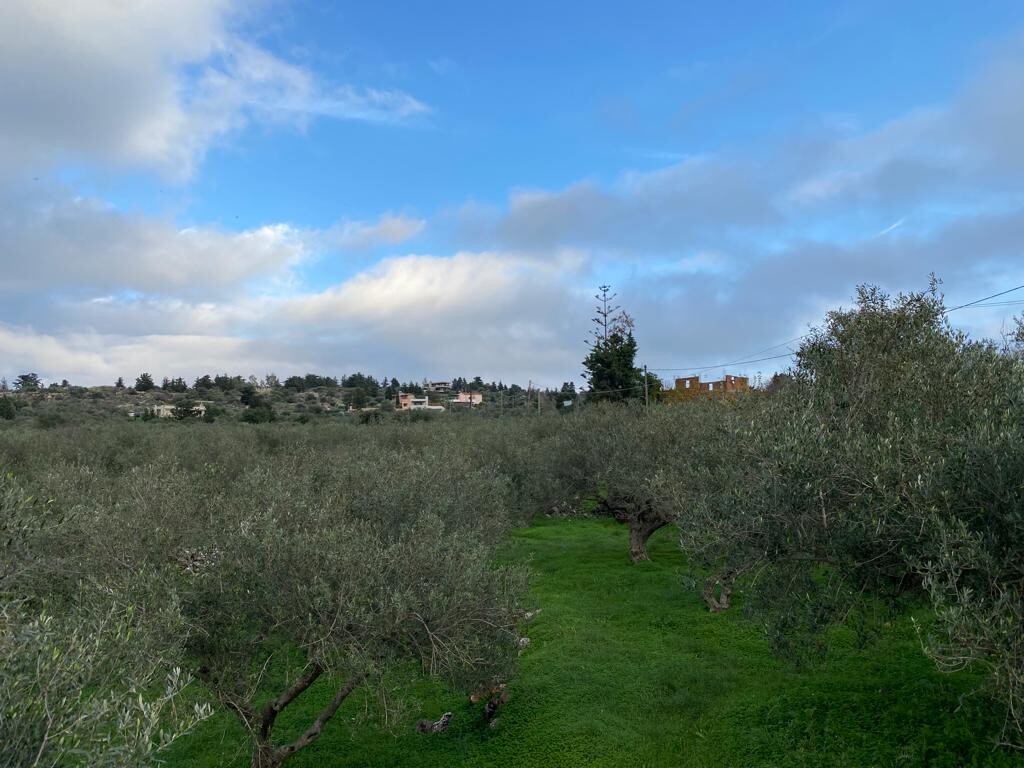Land in Vamos, Chania Prefecture, Greece – 51904