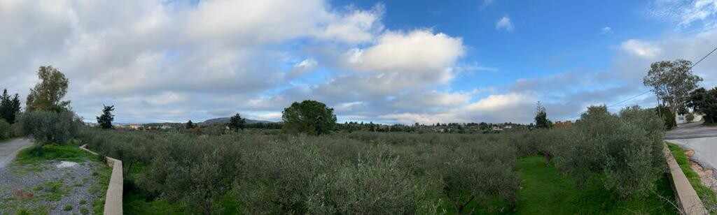 Land in Vamos, Chania Prefecture, Greece – 51904