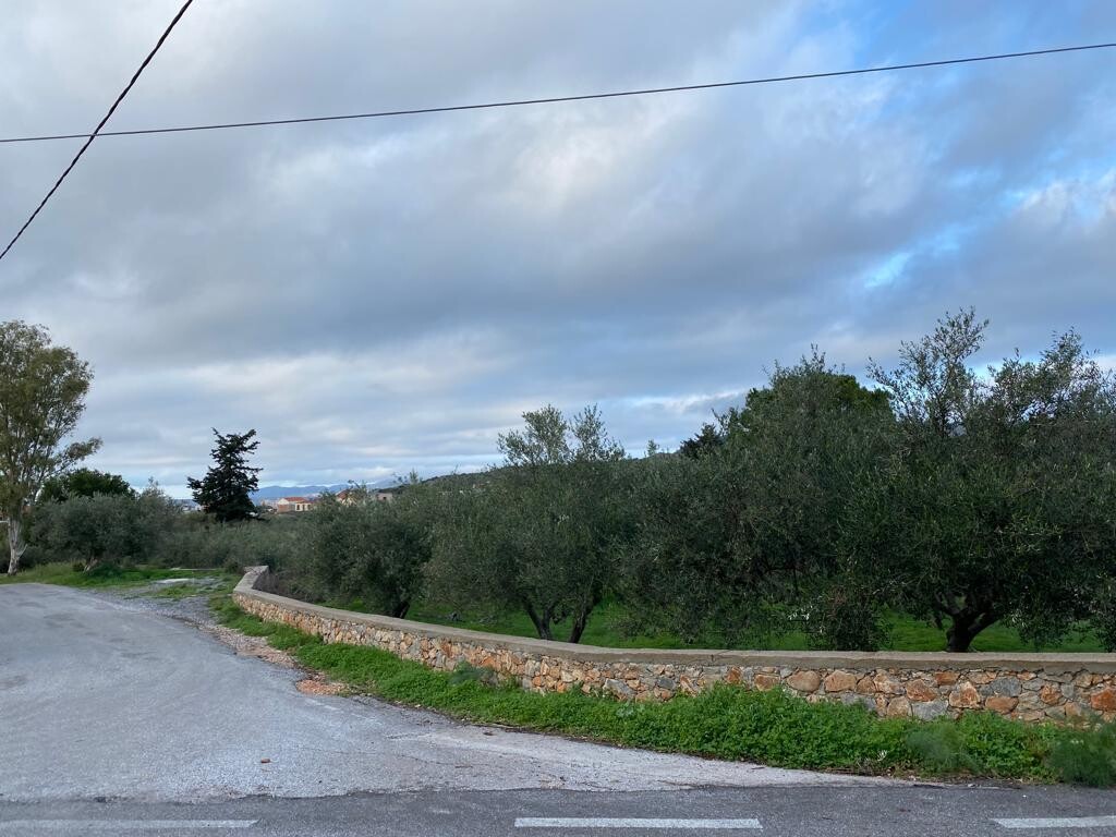 Land in Vamos, Chania Prefecture, Greece – 51904