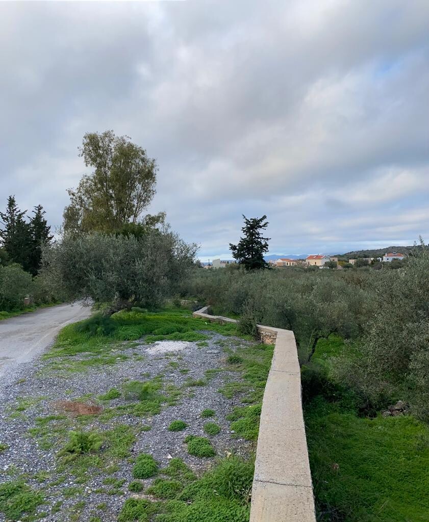 Land in Vamos, Chania Prefecture, Greece – 51904