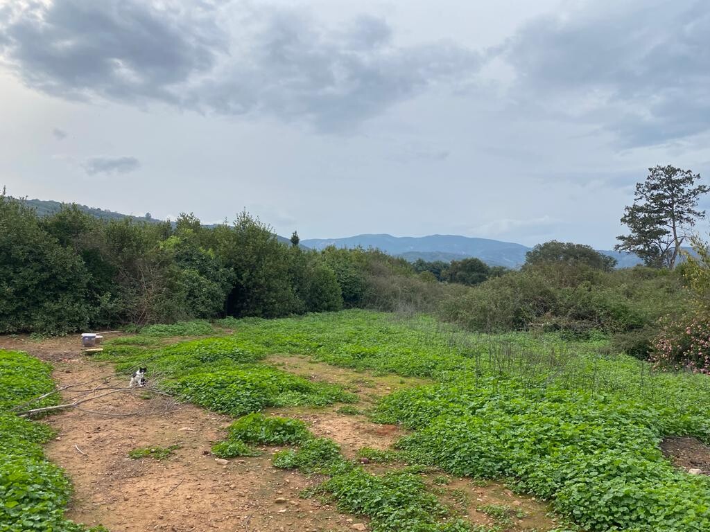 Land in Therisos, Chania Prefecture, Greece – 51868
