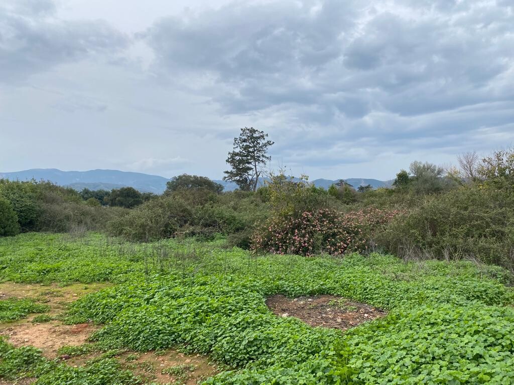Land in Therisos, Chania Prefecture, Greece – 51868