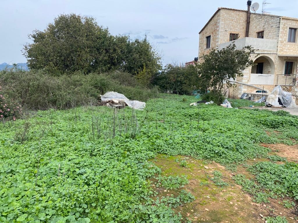 Land in Therisos, Chania Prefecture, Greece – 51868