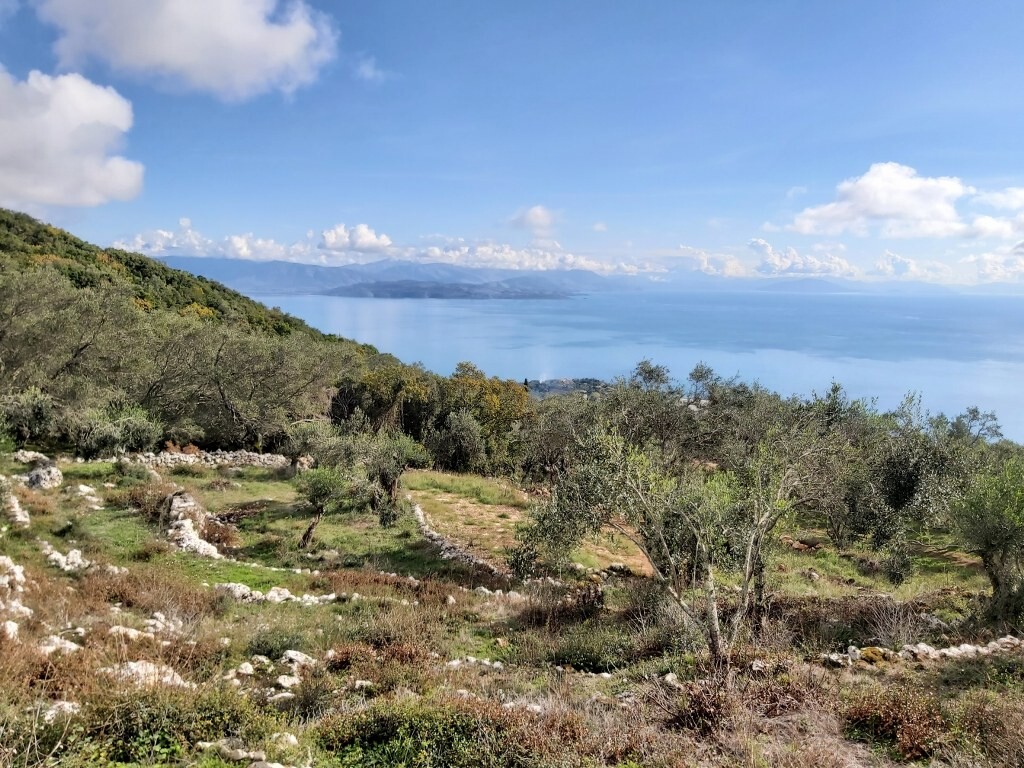 Land in Corfu, Corfu Prefecture, Greece – 51788