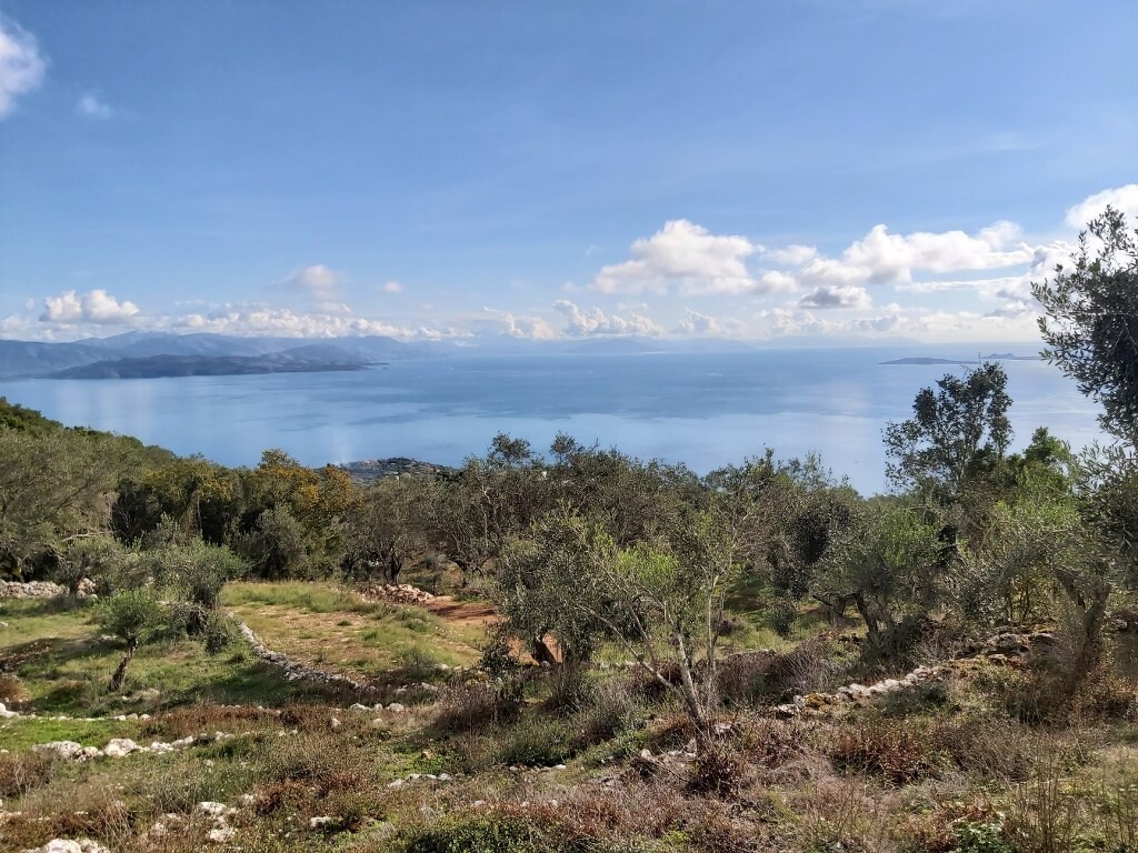 Land in Corfu, Corfu Prefecture, Greece – 51788