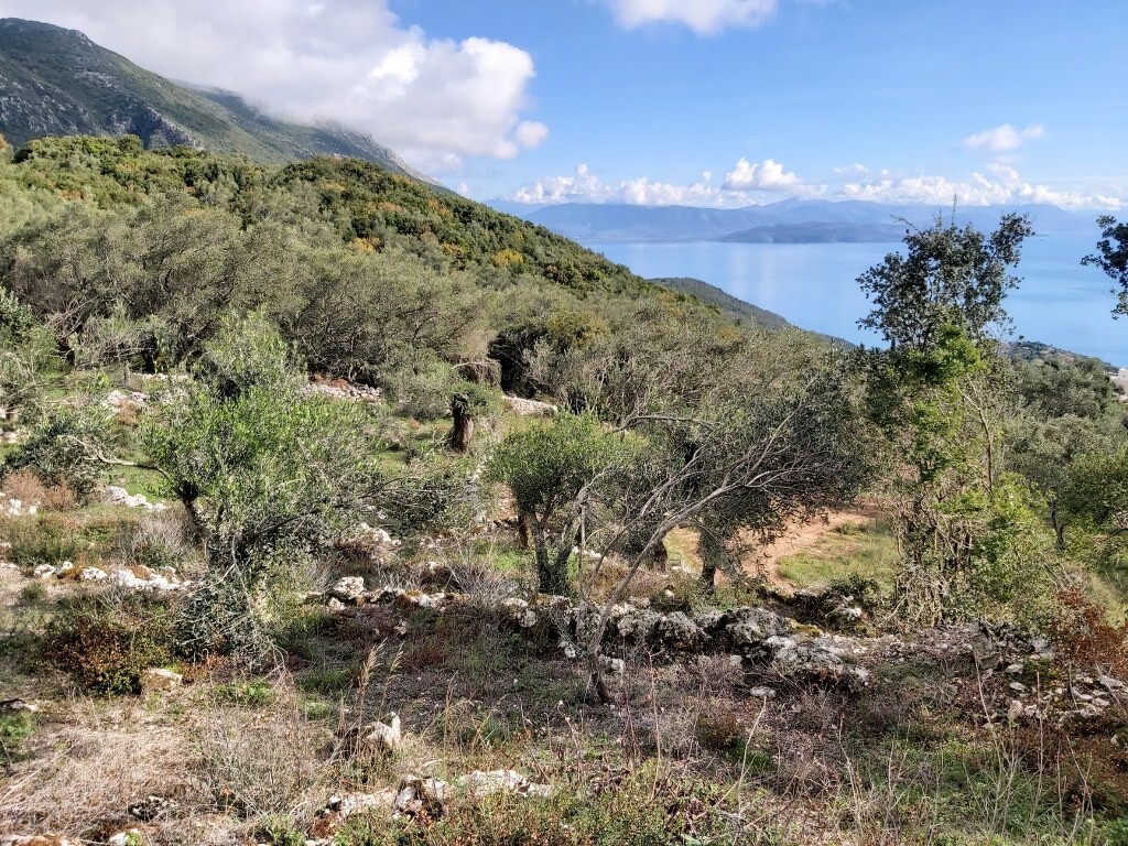 Land in Corfu, Corfu Prefecture, Greece – 51788
