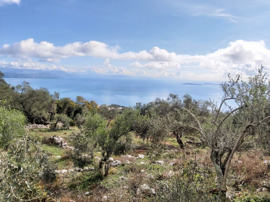 Land in Corfu, Corfu Prefecture, Greece – 51788