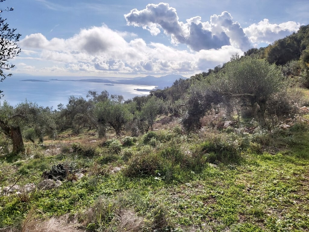 Land in Corfu, Corfu Prefecture, Greece – 51788