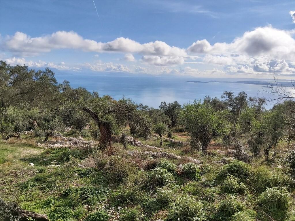 Land in Corfu, Corfu Prefecture, Greece – 51788