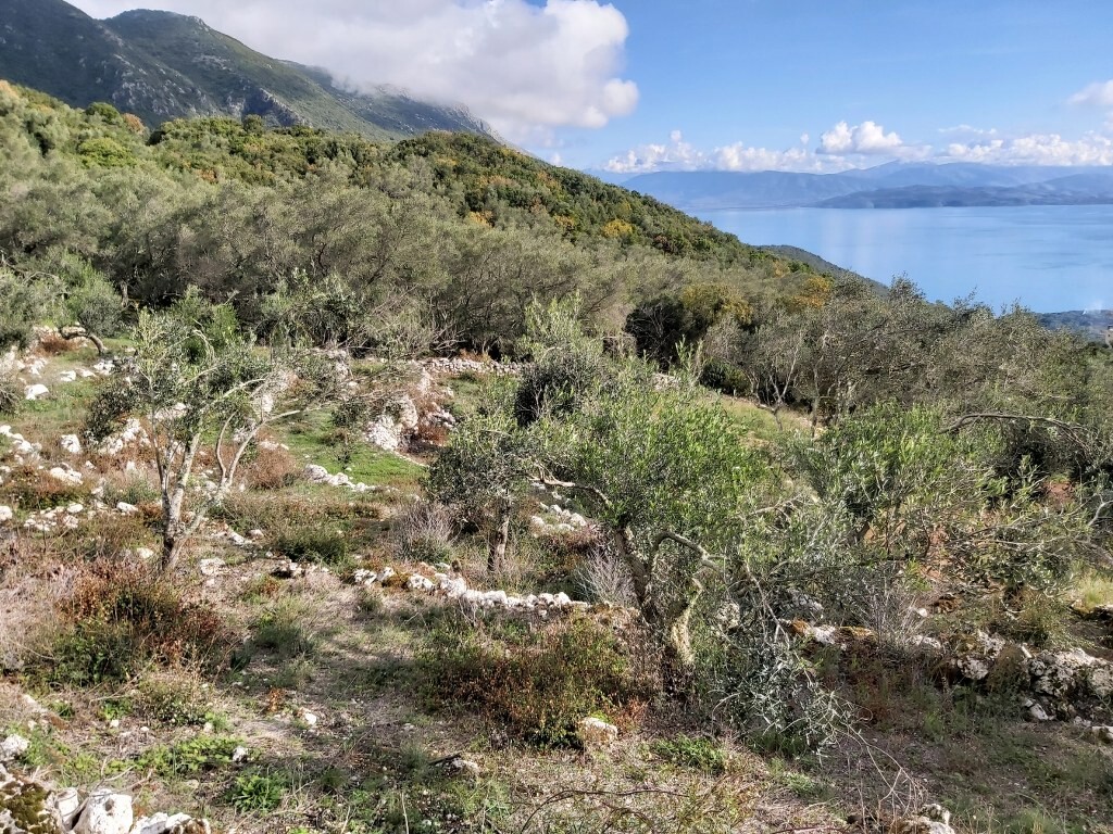 Land in Corfu, Corfu Prefecture, Greece – 51788