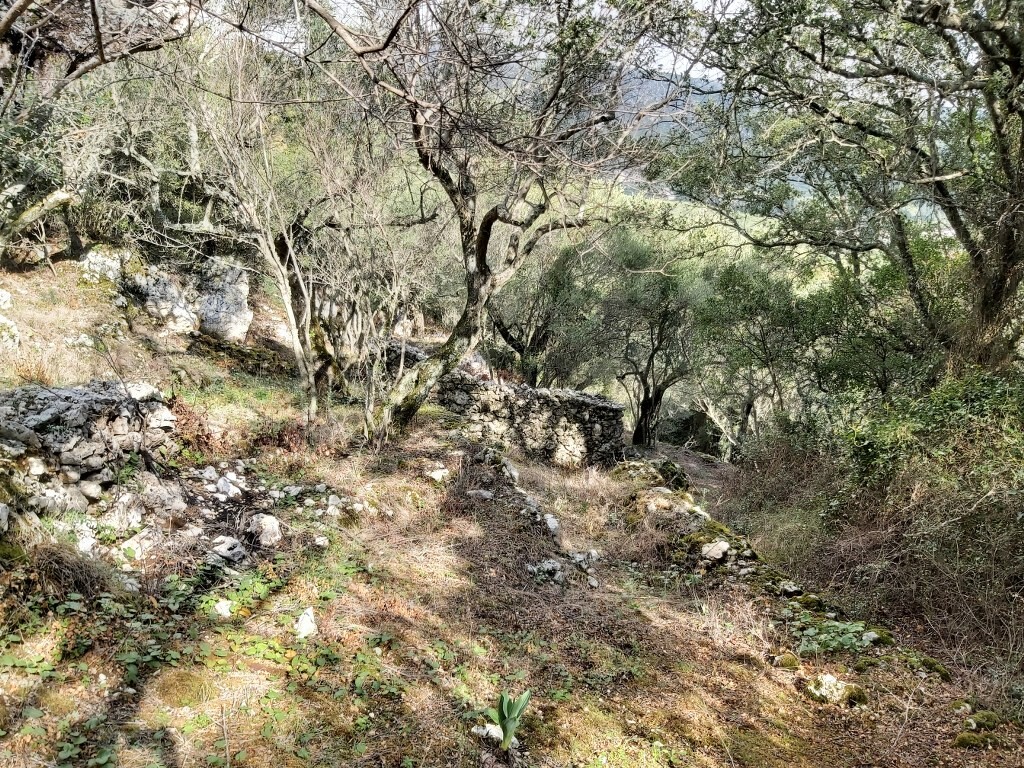 Land in Corfu, Corfu Prefecture, Greece – 51788