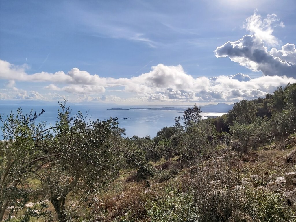 Land in Corfu, Corfu Prefecture, Greece – 51788
