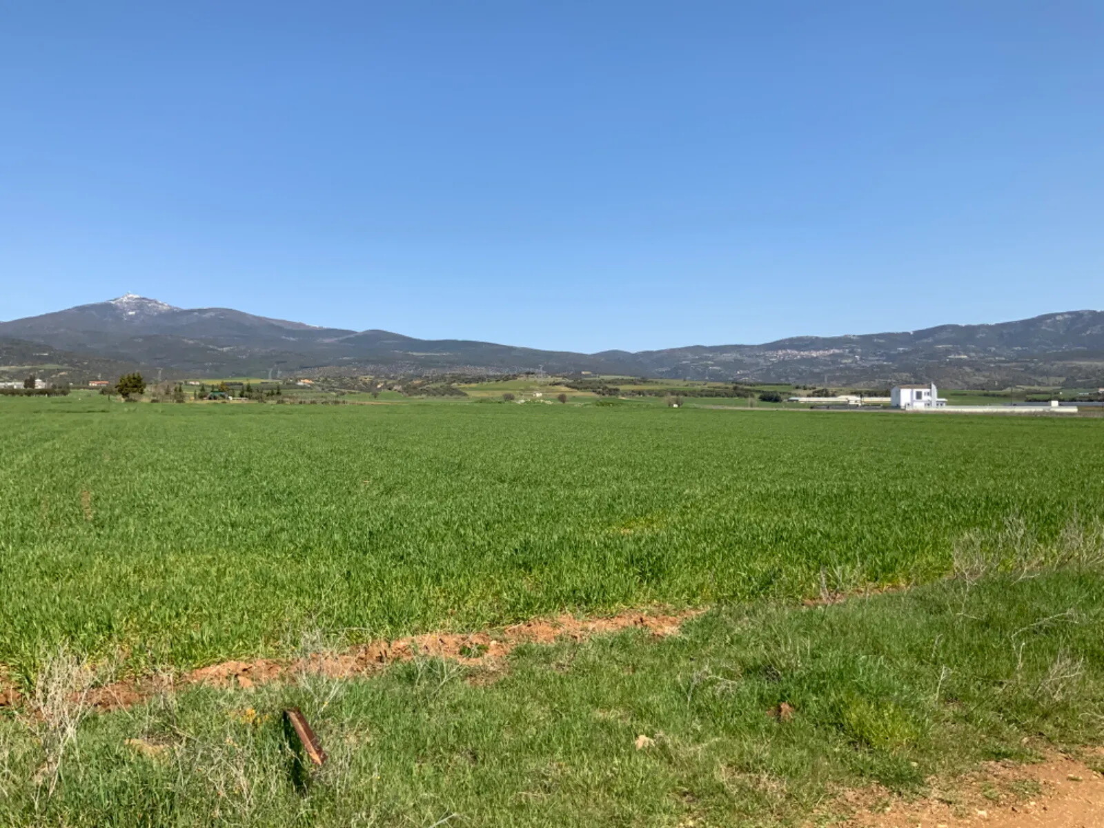 Land in Vasilika, Thessaloniki – Suburbs, Greece – 51737