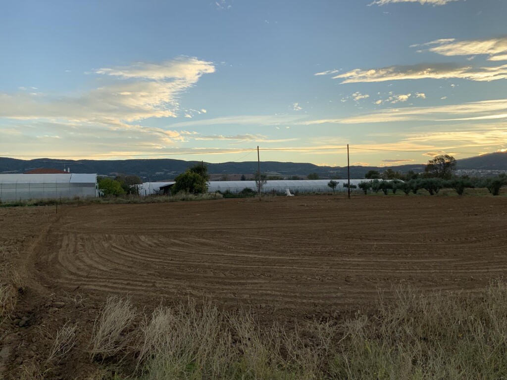 Land in Vasilika, Thessaloniki – Suburbs, Greece – 51734