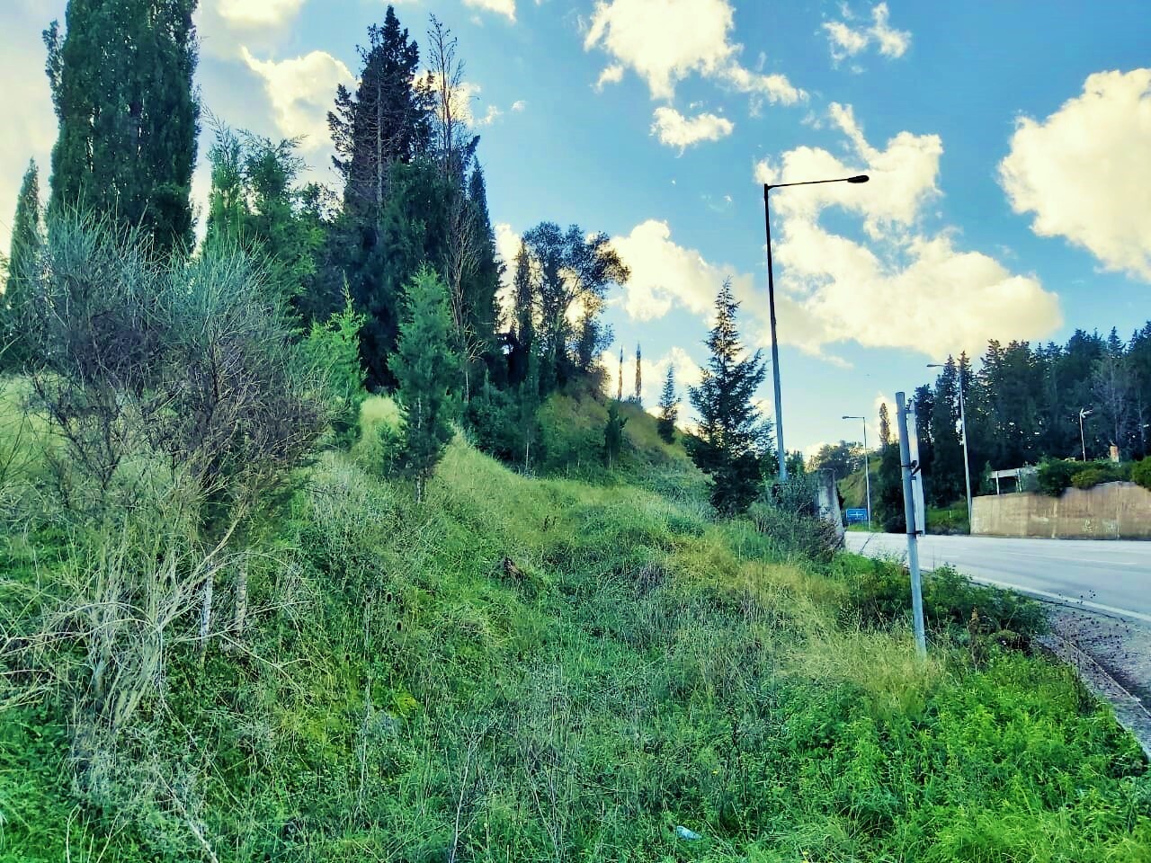 Land in Corfu, Corfu Prefecture, Greece – 51715