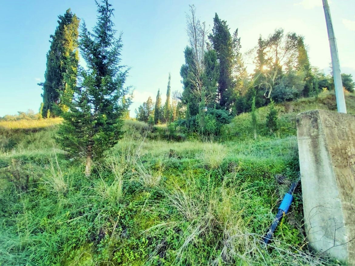 Land in Corfu, Corfu Prefecture, Greece – 51715