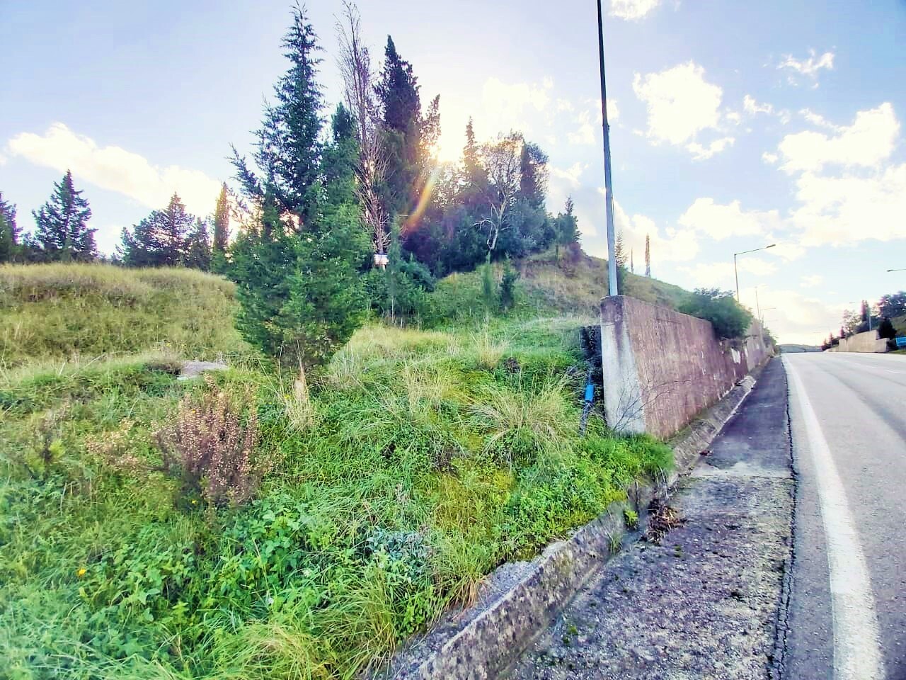Land in Corfu, Corfu Prefecture, Greece – 51715