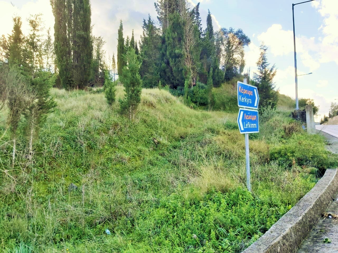 Land in Corfu, Corfu Prefecture, Greece – 51715