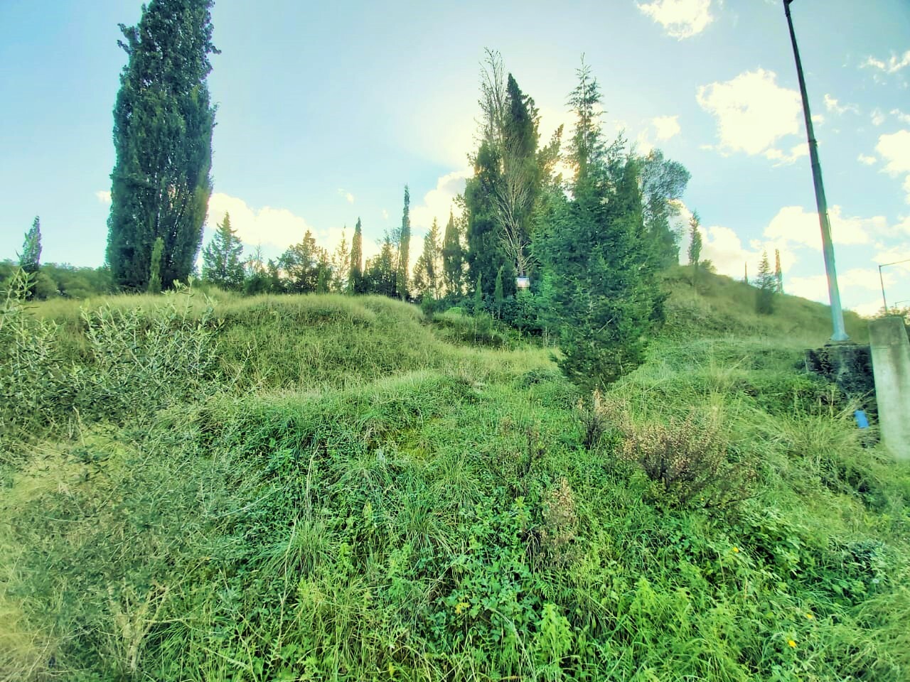 Land in Corfu, Corfu Prefecture, Greece – 51715