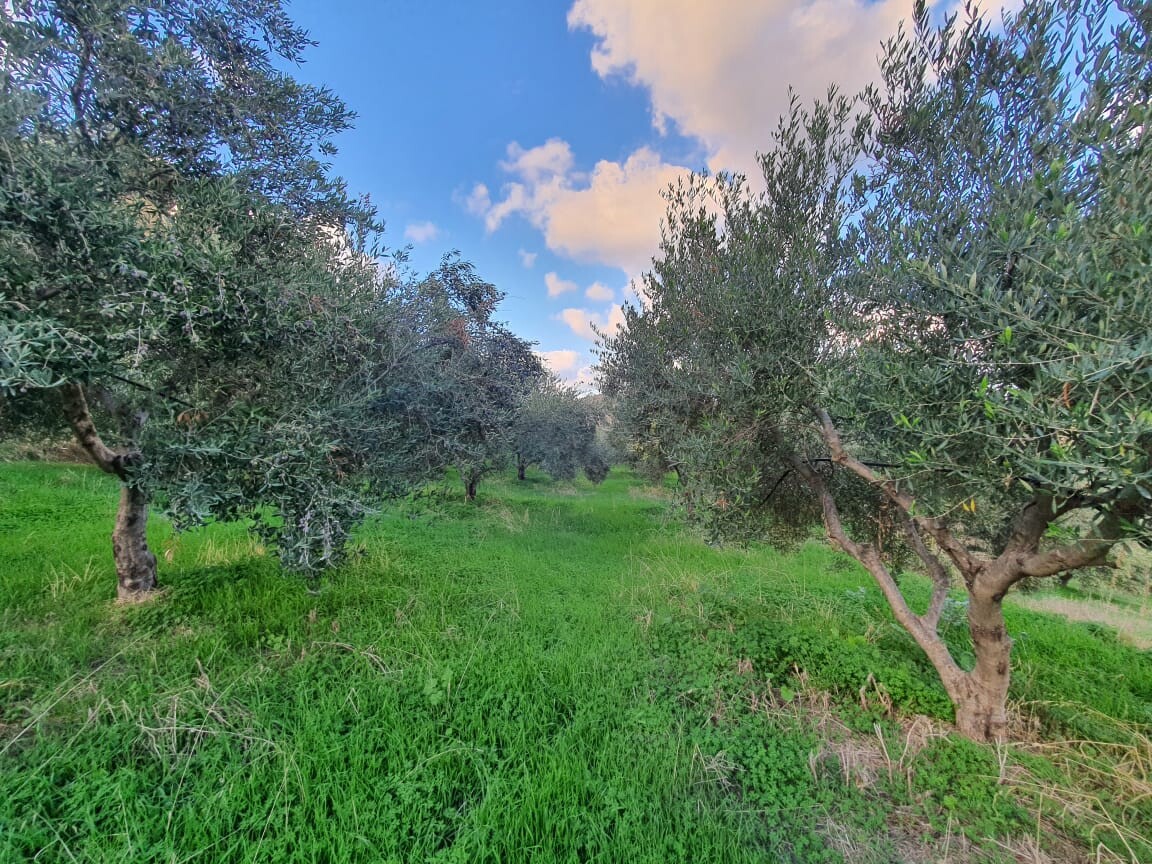 Land in Chersonisos, Heraklion Prefecture, Greece – 51611