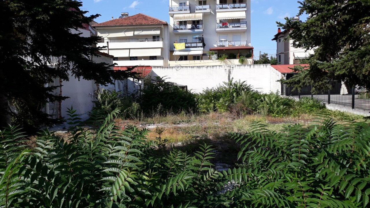 Land in Katerini, Pieria Prefecture, Greece – 51604