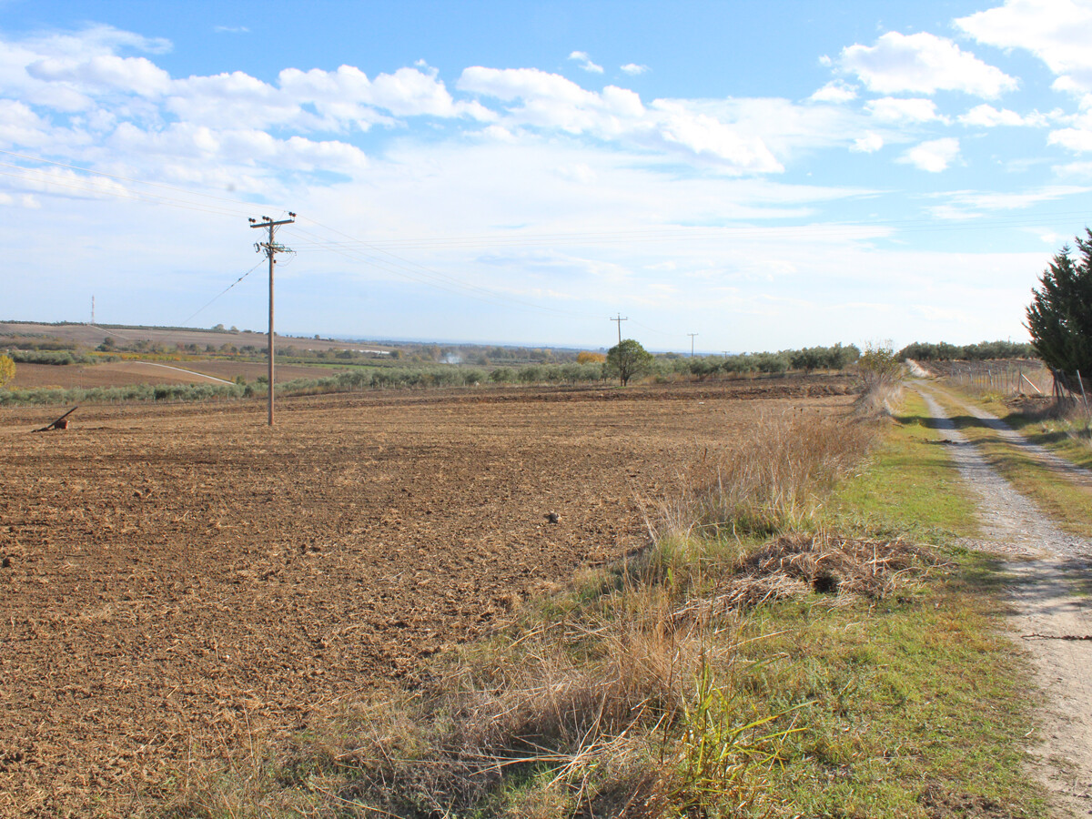 Land in Katerini, Pieria Prefecture, Greece – 51599