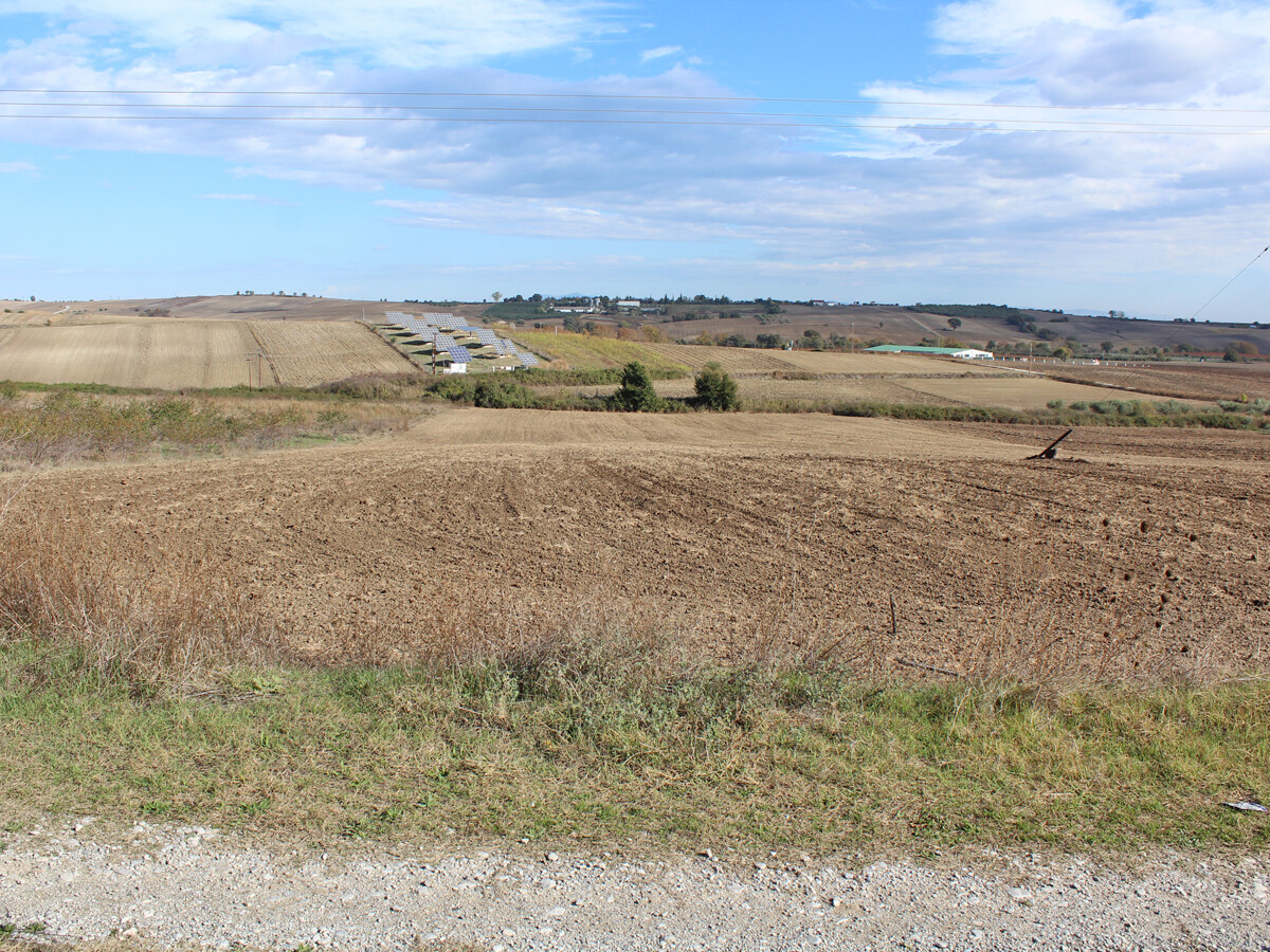 Land in Katerini, Pieria Prefecture, Greece – 51599
