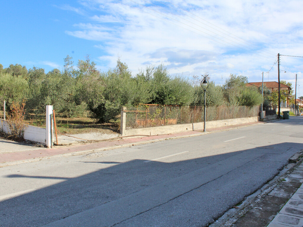 Land in Katerini, Pieria Prefecture, Greece – 51598