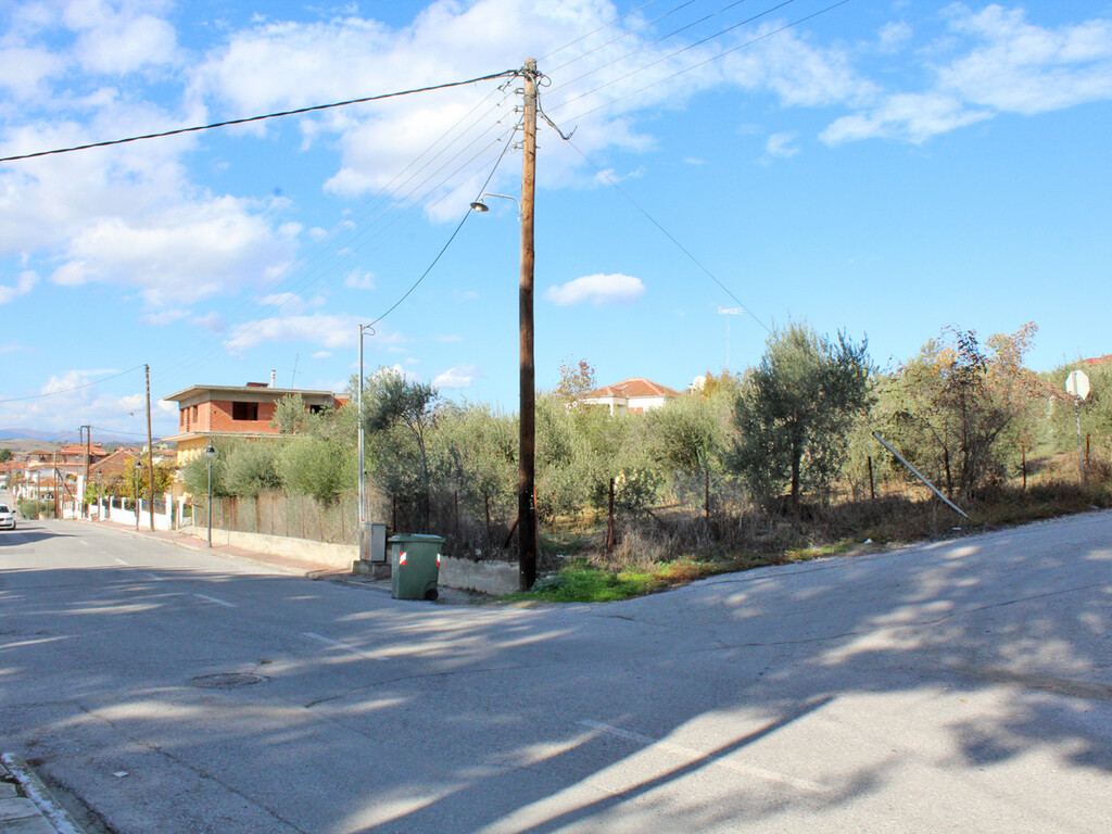 Land in Katerini, Pieria Prefecture, Greece – 51598